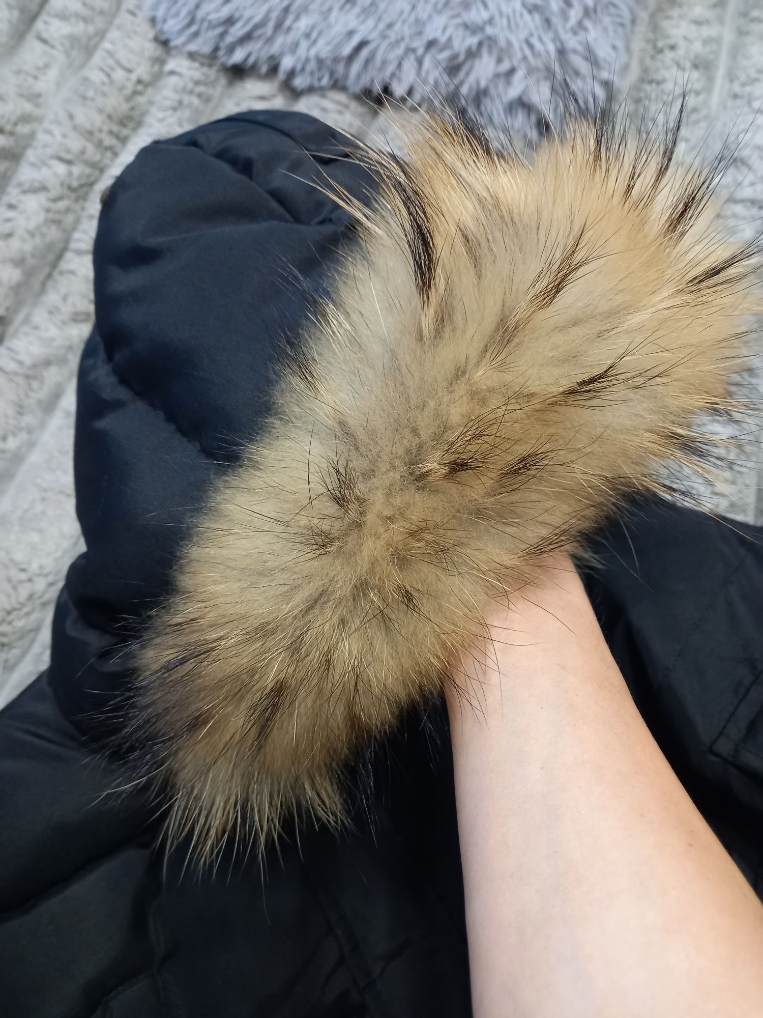Оригінал  Canada coose