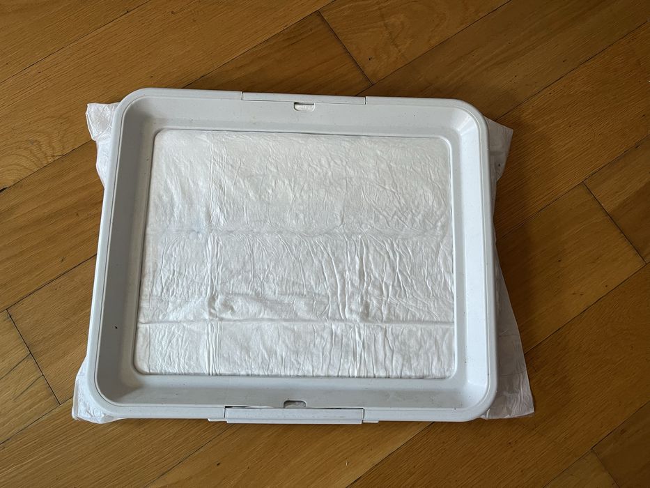 Porta-resguardo para treino xixi (cão)
