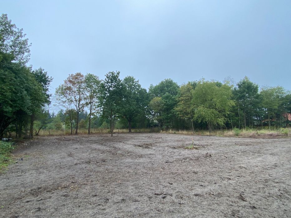 Żółwin ul. Łąkowa 1001m2
