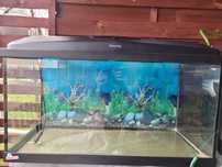 Akwarium Aqael 200 l