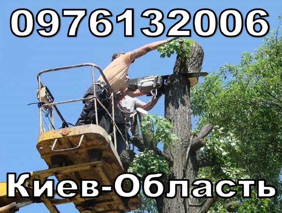 Спил деревьев корчевание пней Измельчение уборка участка вывоз веток