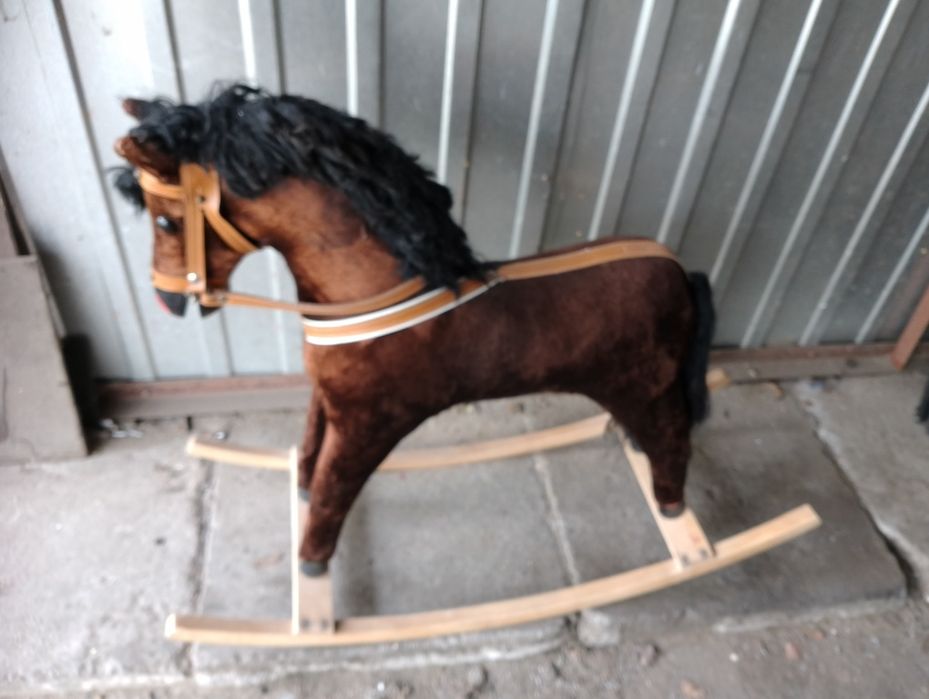 konik na biegunach