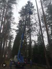 Спил и Обрезка Деревьев- Качество