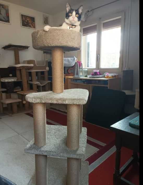 Arranhador para gato com 116cm de altura