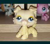 Lps collie littlest pet shop pop
