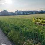 Sprzedam działki budowlane bez pośredników.