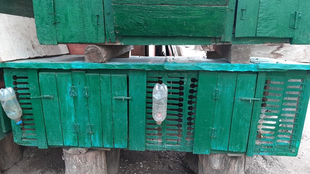 Клітки для кроликів клітка