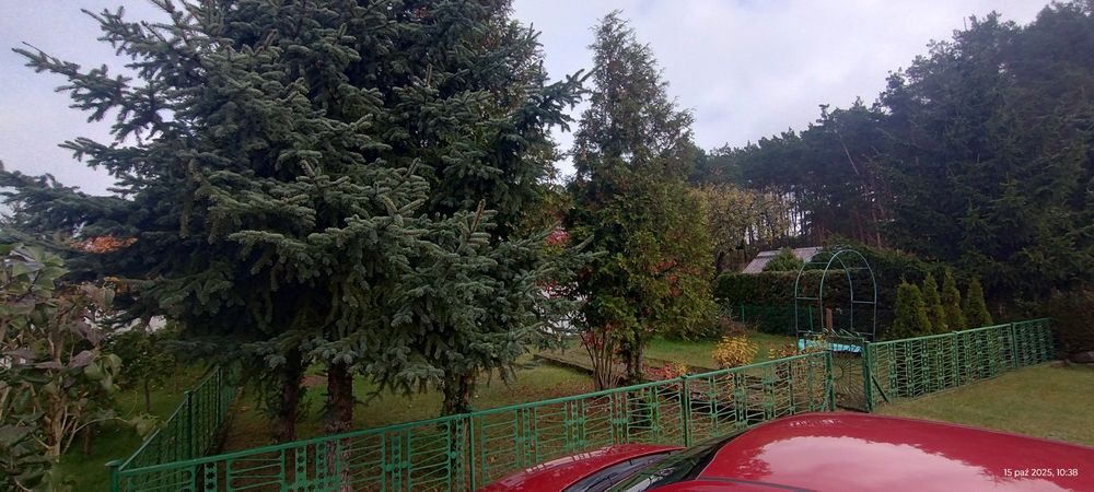 Działka ROD "POD TUREM" w atrakcyjnej cenie