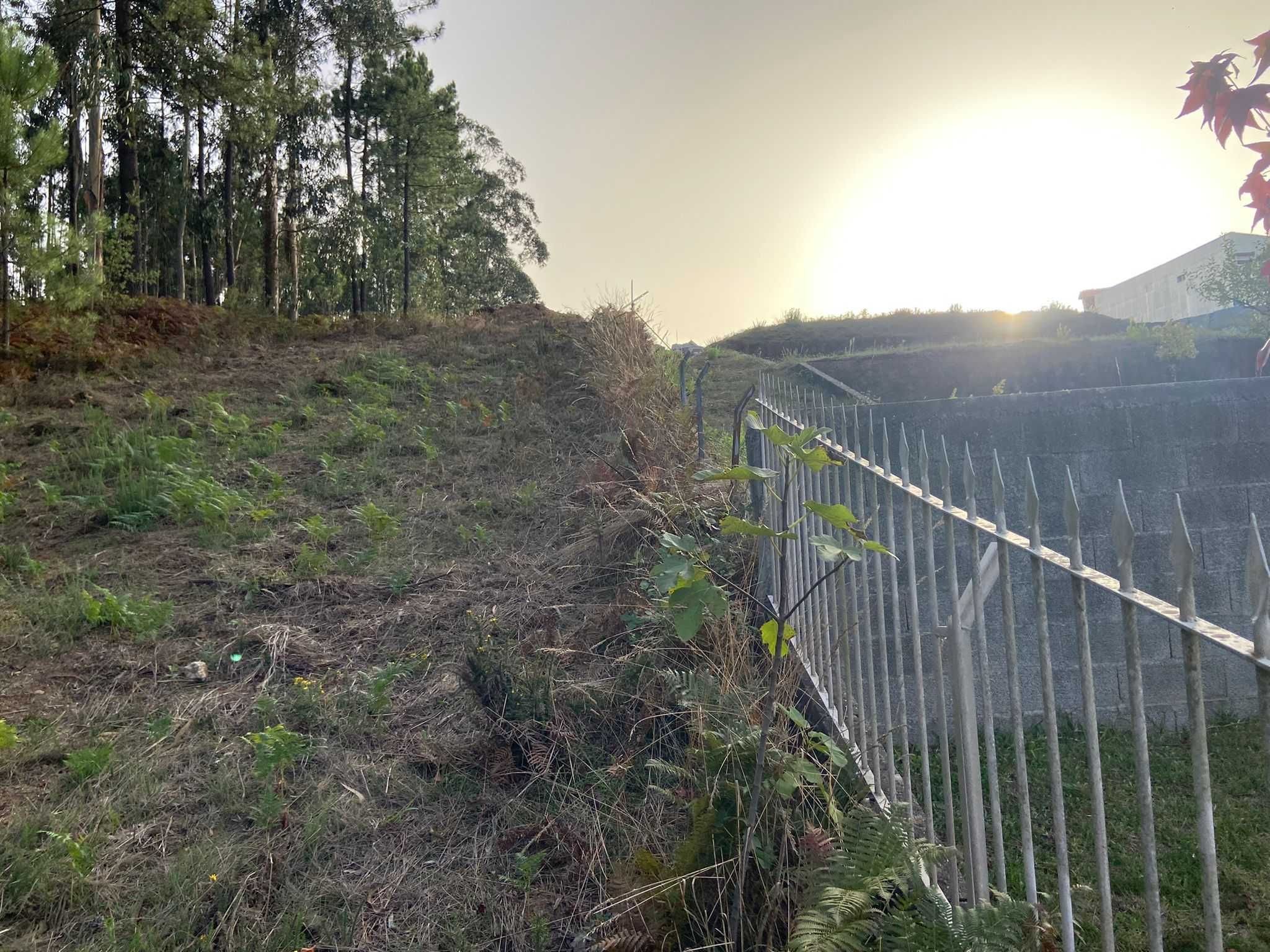Terreno 793M2 C/Projeto Aprovado