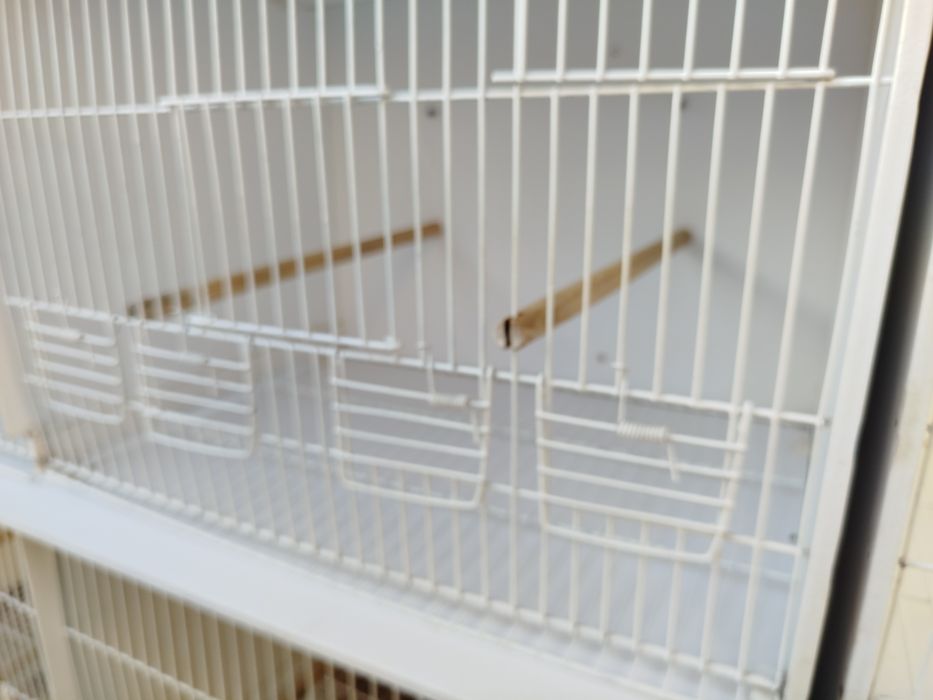 Viveirosen PVC. para aves  bem conservados .como novos