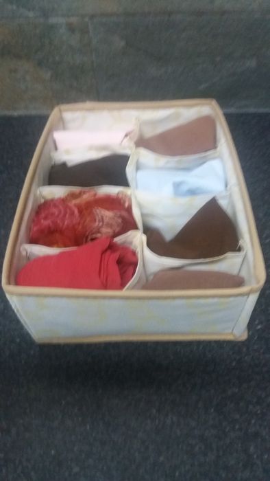Organizador de Lenços/meias