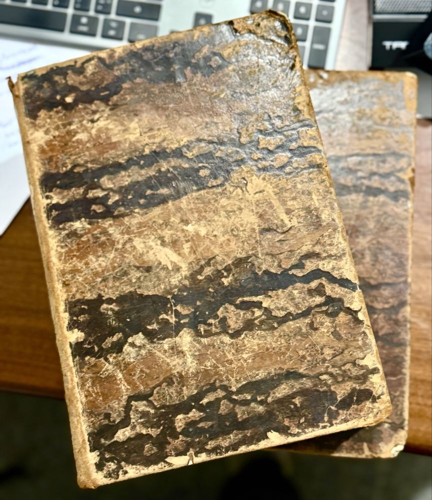 2 livros D. José de Lacerda (1866, 1871)