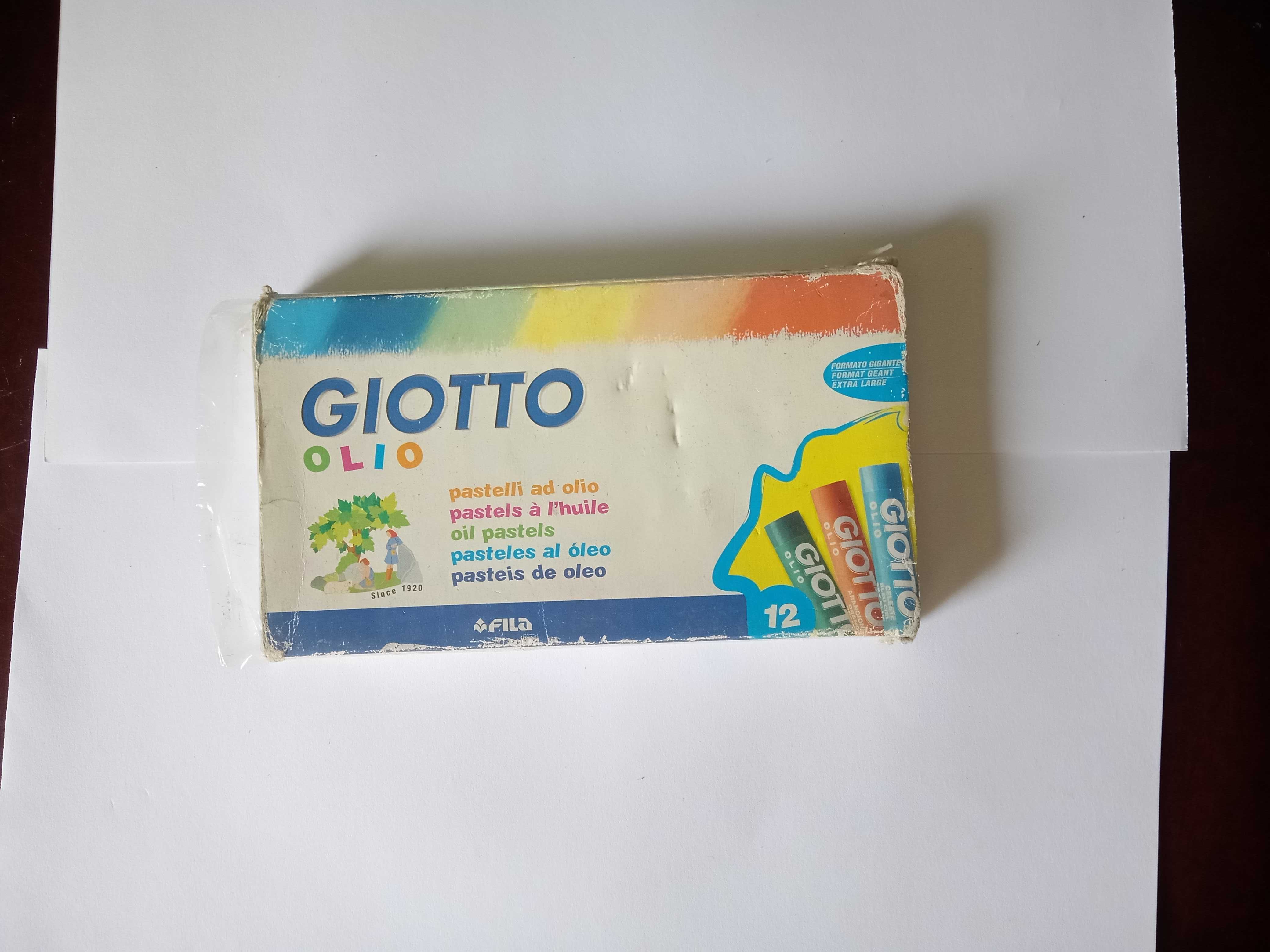 Pasteis óleo- 12 unidades- Giotto (usados)