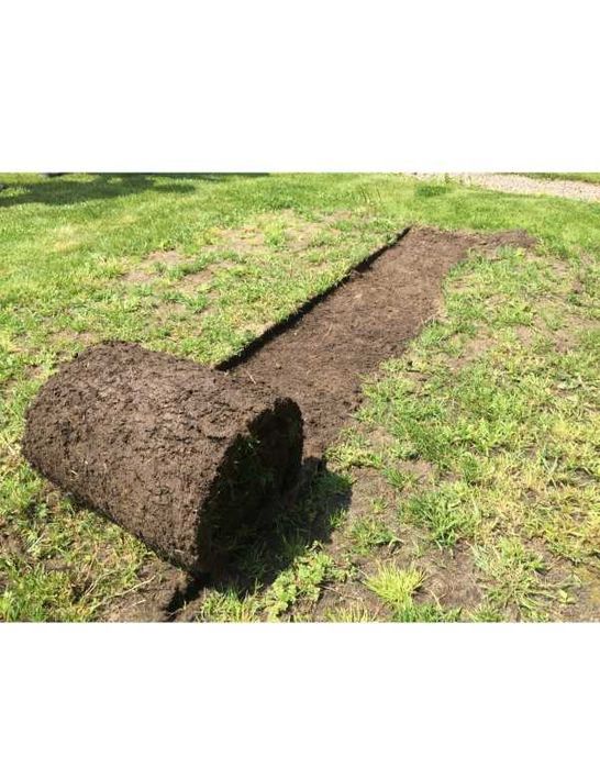 Wycinarka darni trawy do trawnika wypożyczalnia wynajem Opole