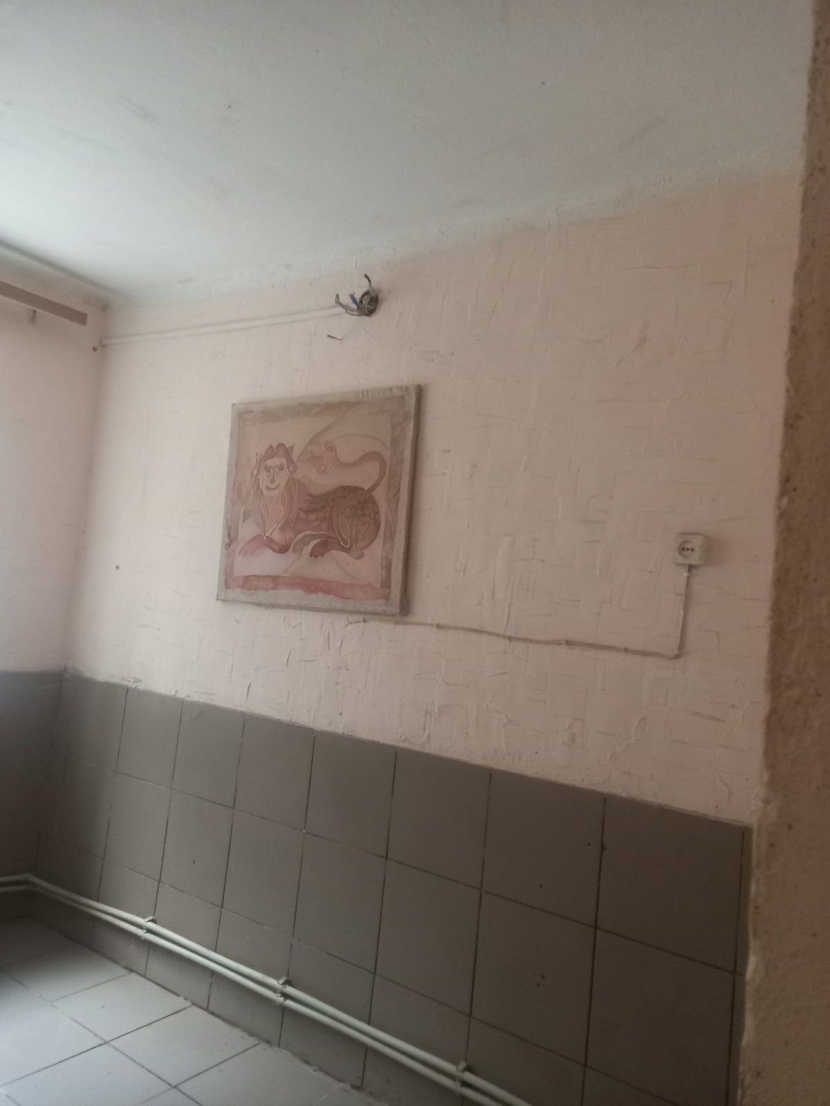 Продам 2будинка Чорнобаївка вул.Стадіонна