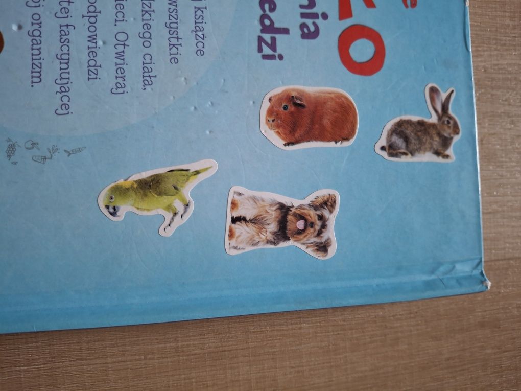 Moje ciało. Pytania i odpowiedzi. Ksiażka z okienkami.