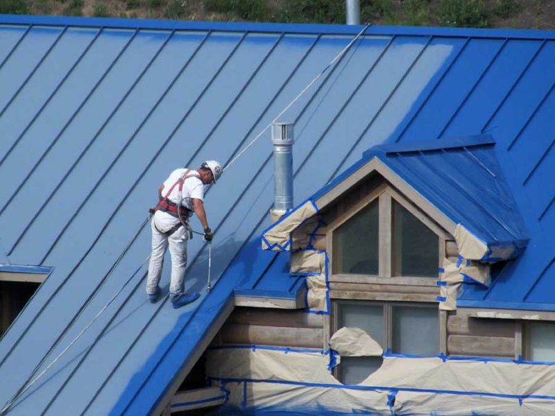 Мийка та Фарбування дахів покрівлі парканів.послуги обрізання дерев
