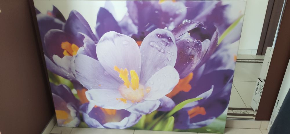 Obraz 120 cm x 90 cm