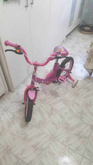 Bicicleta criança 4 a 6 anos Patrulha Pata