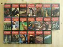 Colecção A Fauna - Vida e Costumes Dos Animais Selvagens - VHS