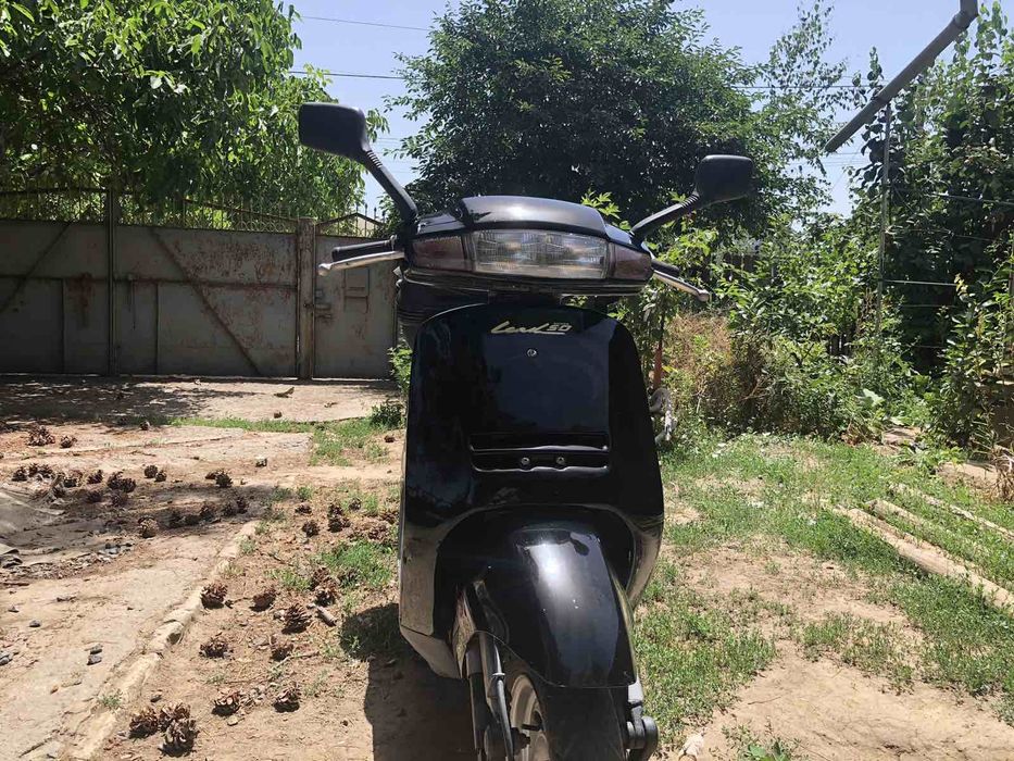Honda lead 50              ,