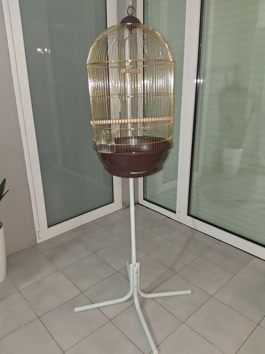 Gaiola com 2 dias de uso.