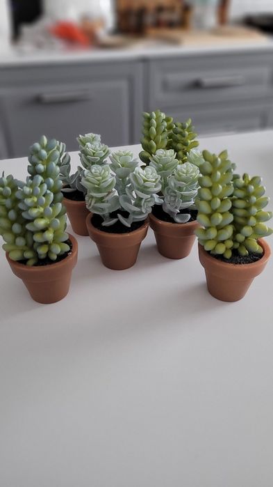 Zestaw 6 sztucznych sukulentów roślin roślinek w doniczkach Home&You