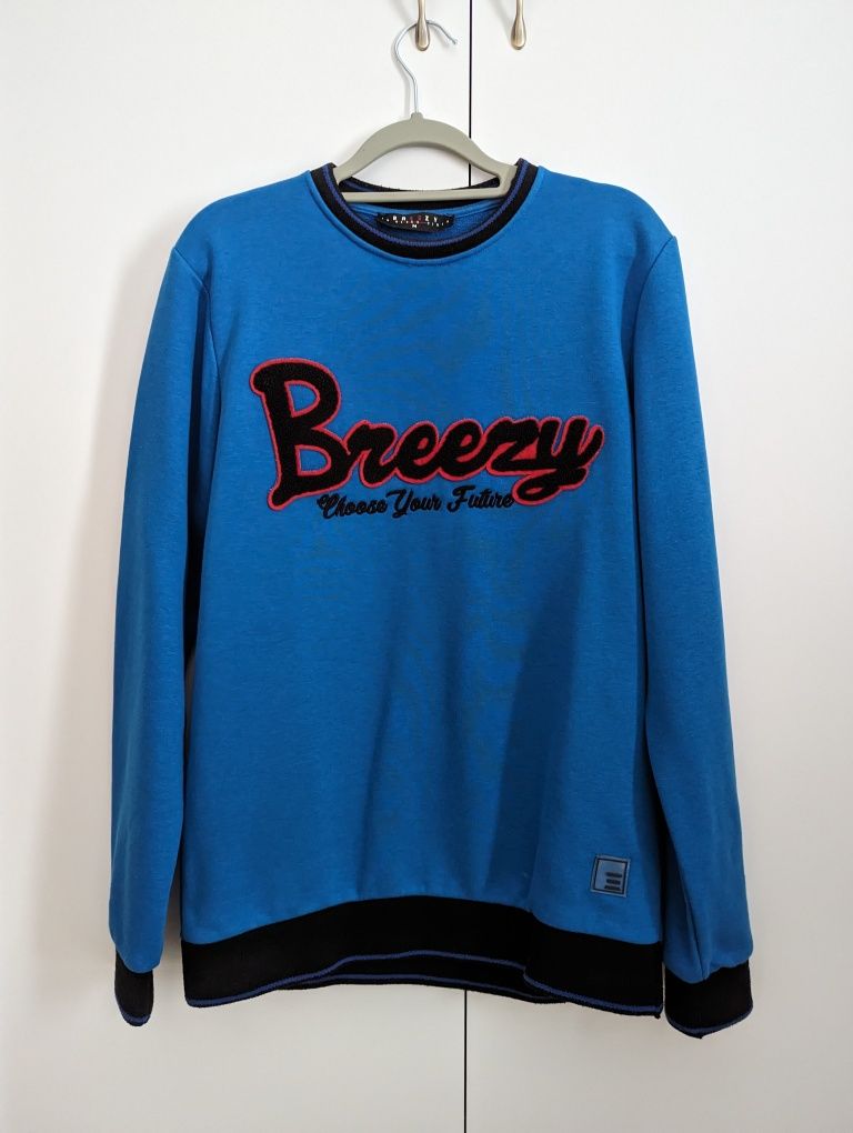 Niebieska bluza męska Breezy