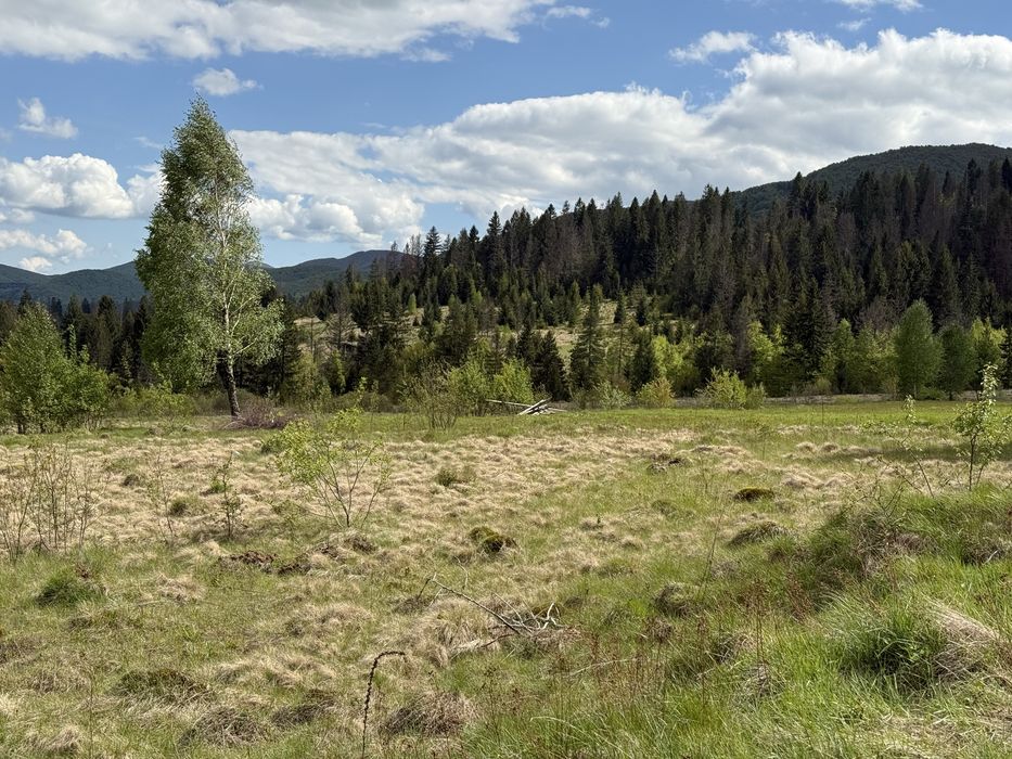 Продається дуже дешево земля у Карпатах