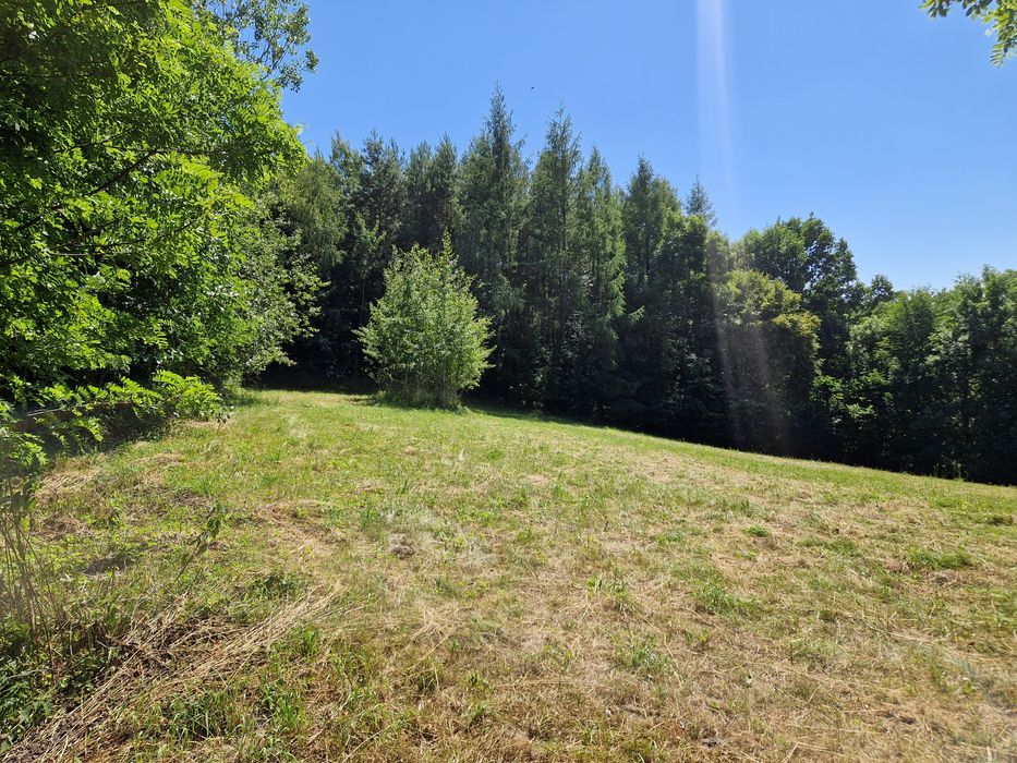 Działka inwestycyjna z wydanymi warunkami zabudowy