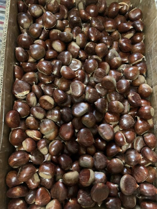 Castanhas tras dos montes