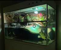 Akwaterrarium, akwarium dla zółwia wodno-lądowego, akwarium z szafką