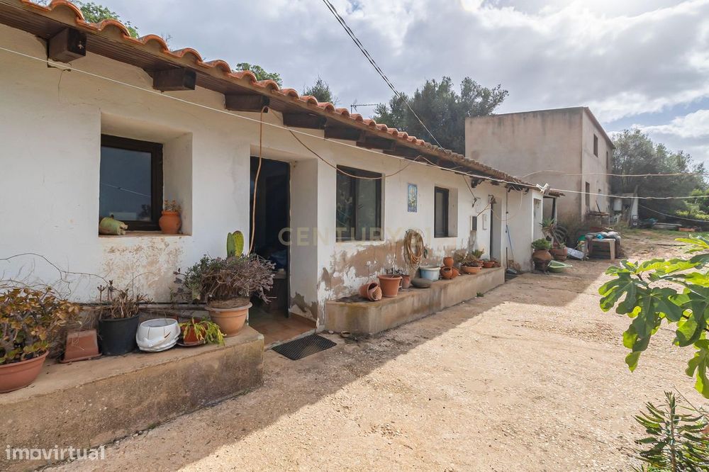 Terreno Misto com Moradia e Anexos – Oportunidade no Campo