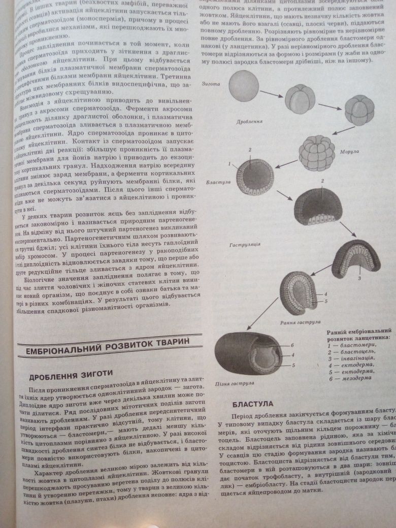 Довiдники всix тем ЗНО/ДПА хімія, англ, ук.мова, бioлогiiя, геогрaфiя