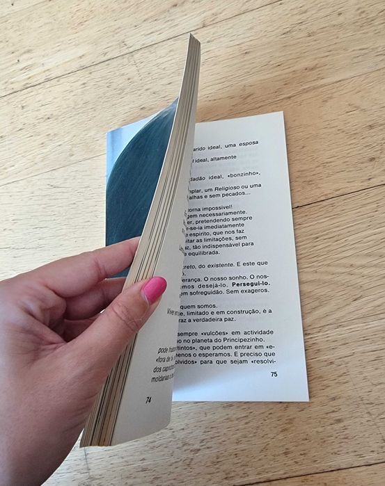 Livro "O Segredo é Cultivar(-se)" de Carlos Afonso Schmitt