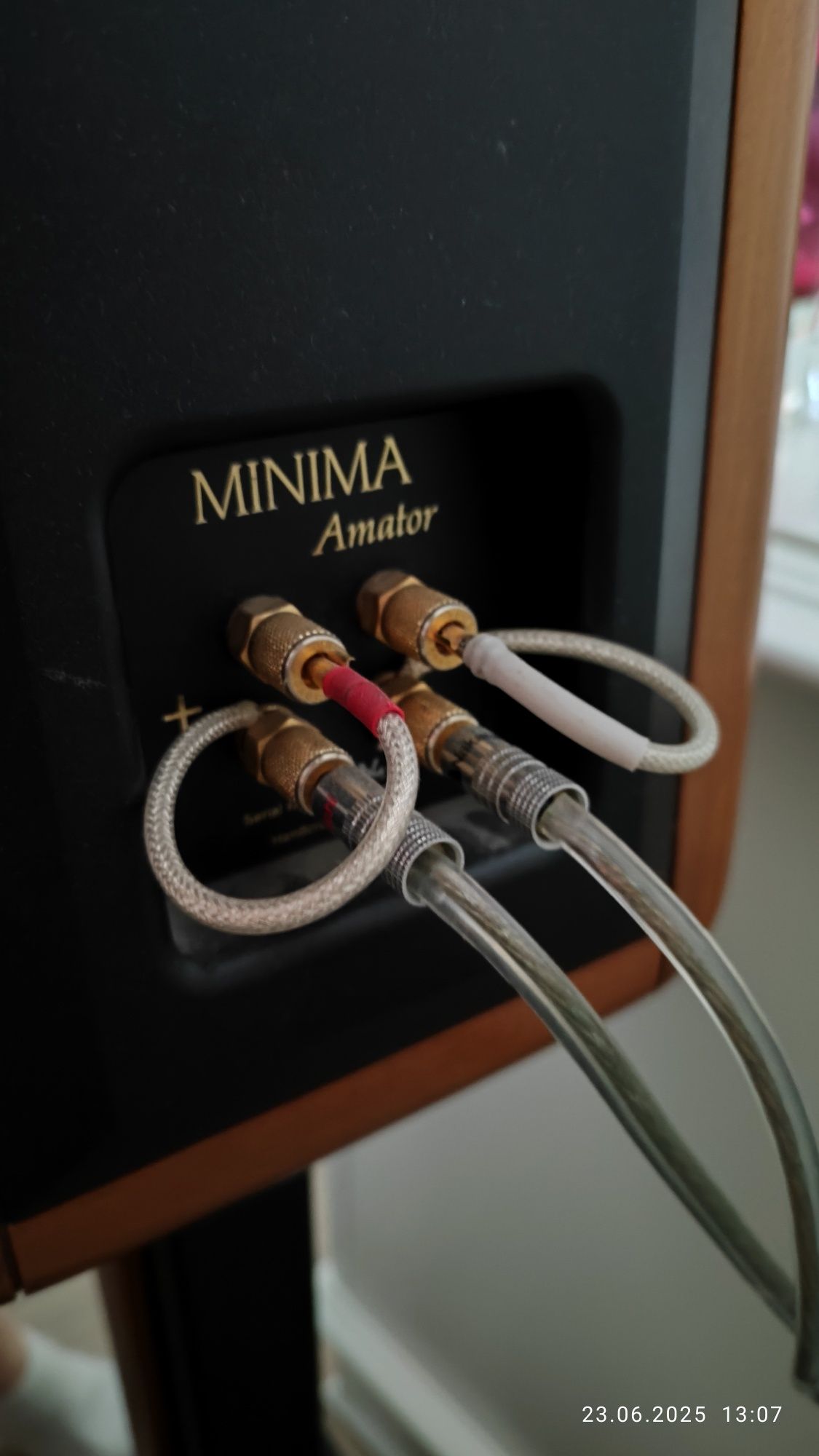 Monitory Sonus Faber Minima Amator 1.