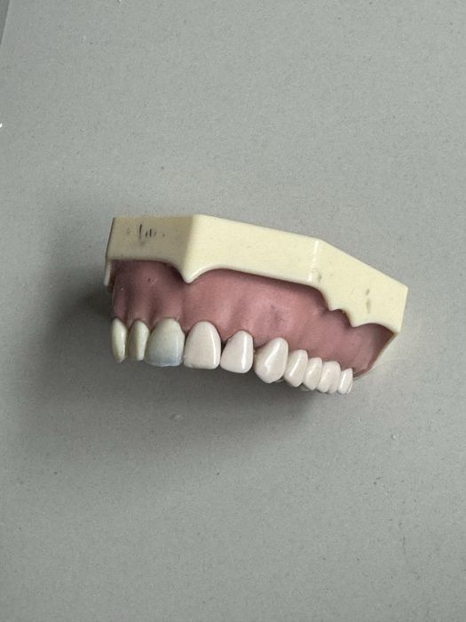 Modelo Frasaco original