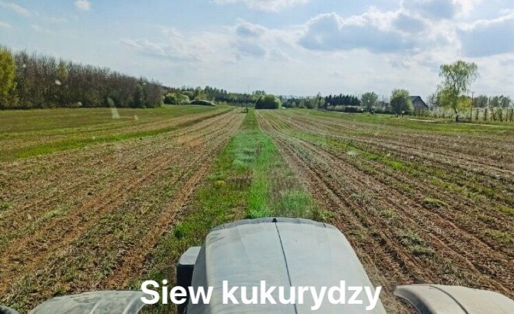 Strip Till Siew pasowy siew bezorkowy Horsch Focus