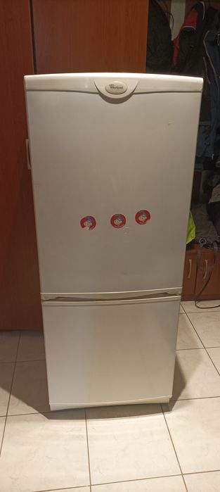 Lodówka z zamrażalnikiem