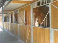 Grade pescoço de cavalo