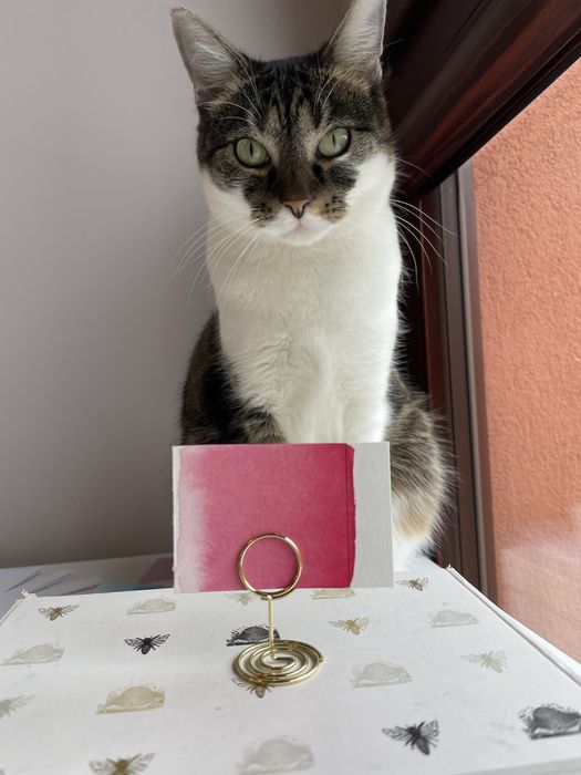 Stojaki na winietki 26 szt.