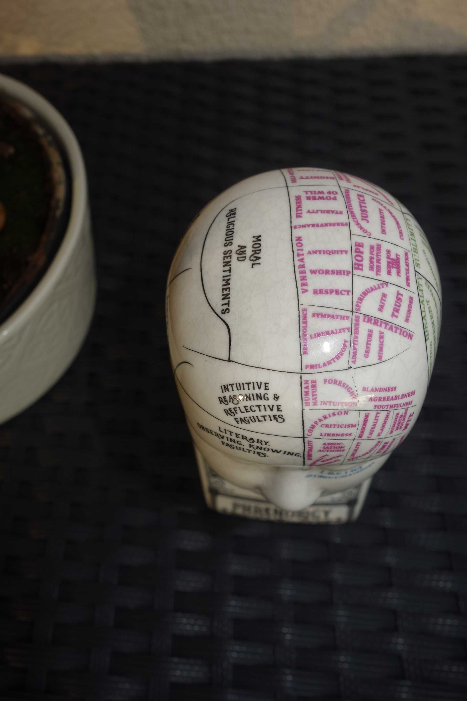frenologiczna medyczna głowa ceramiczna nowa  dekoracja ozdoba