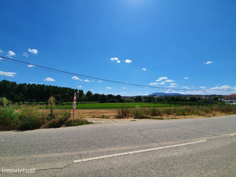 Vende terreno 1,5 hect Mirandela