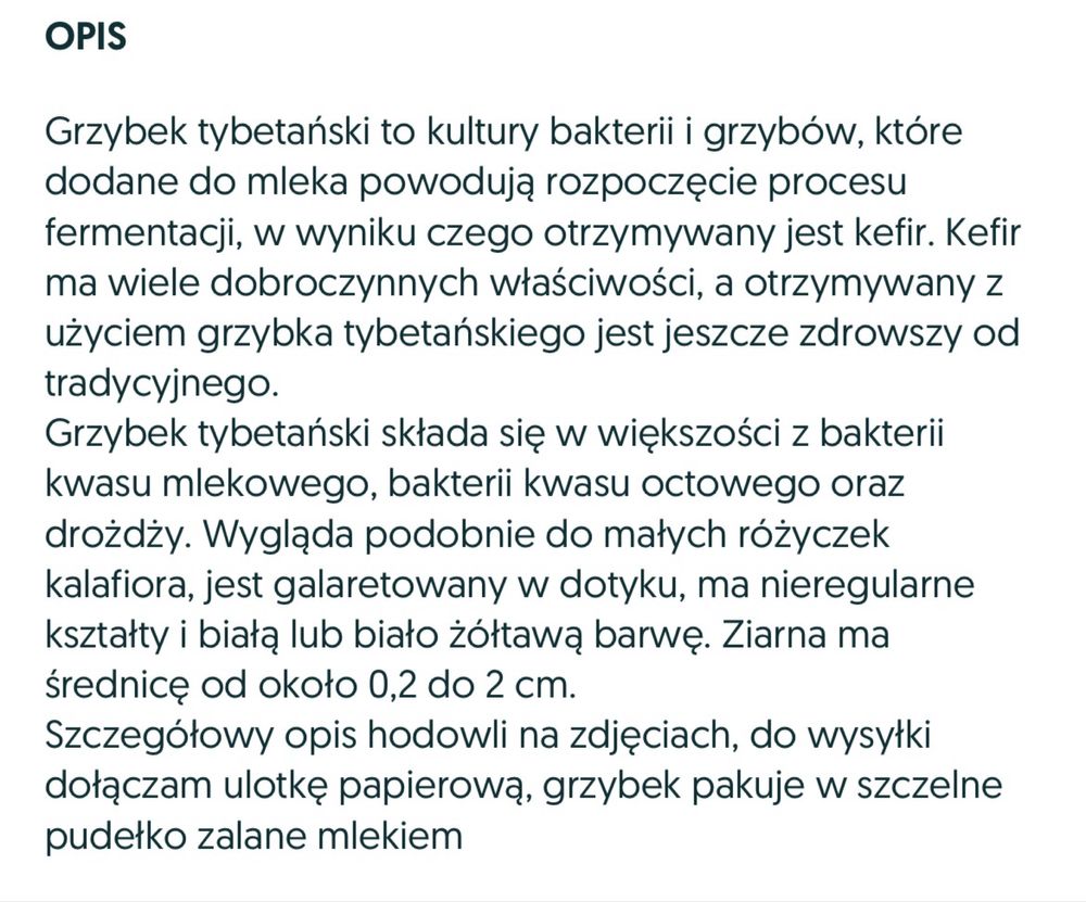 Grzybek tybetański