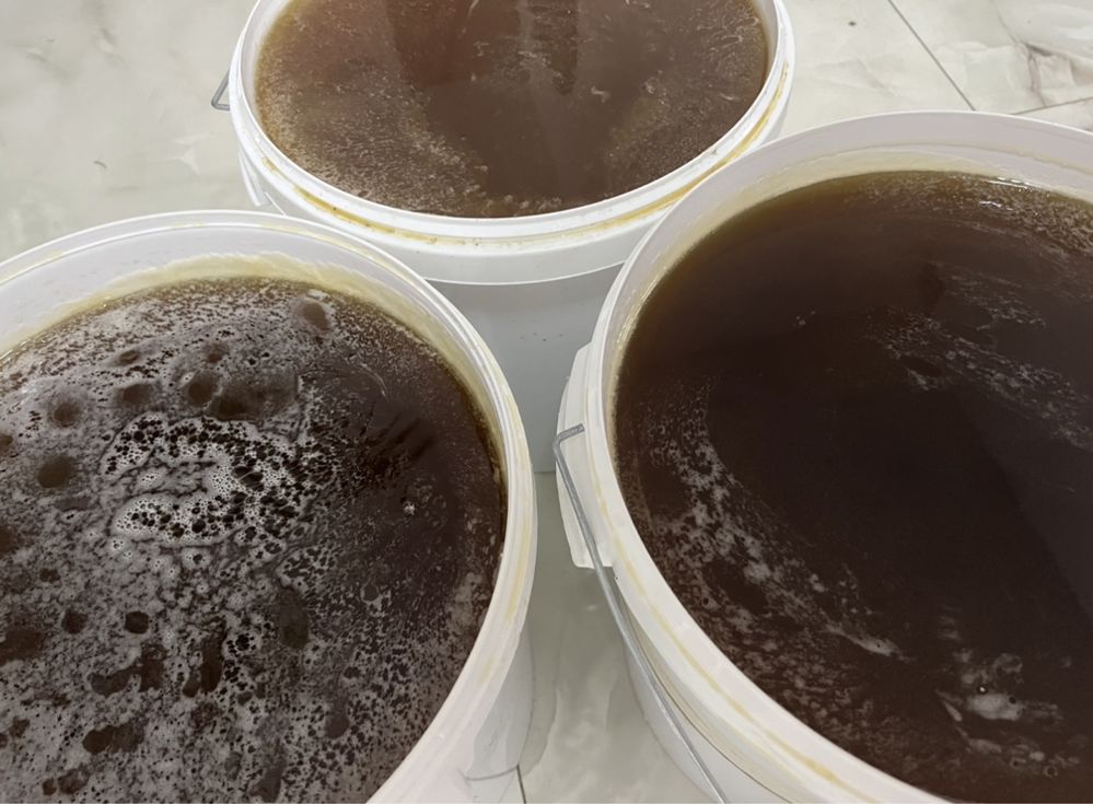 miod, miod leśny pasieki rodziny matki naturalne miody pszczele