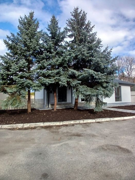 Будинок з великим підвалом і каміном! КМ Канадське Село, без %