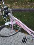 Rower Kross Modo Junior