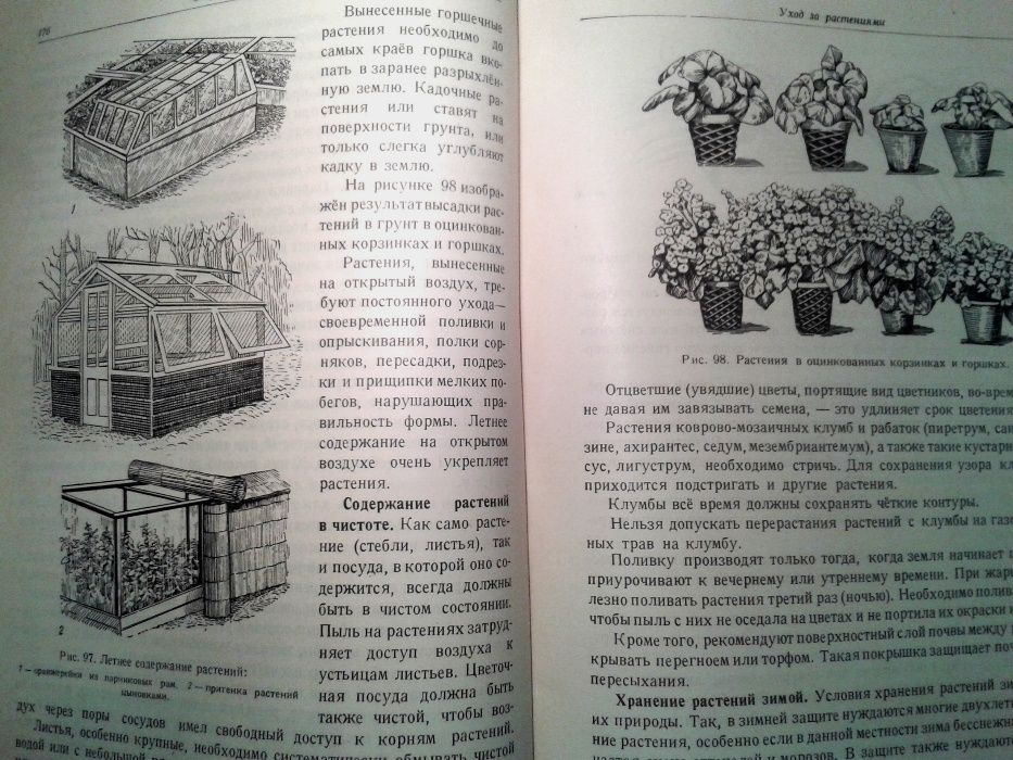 Kwiaciarstwo (цветоводство) Kisieliewa