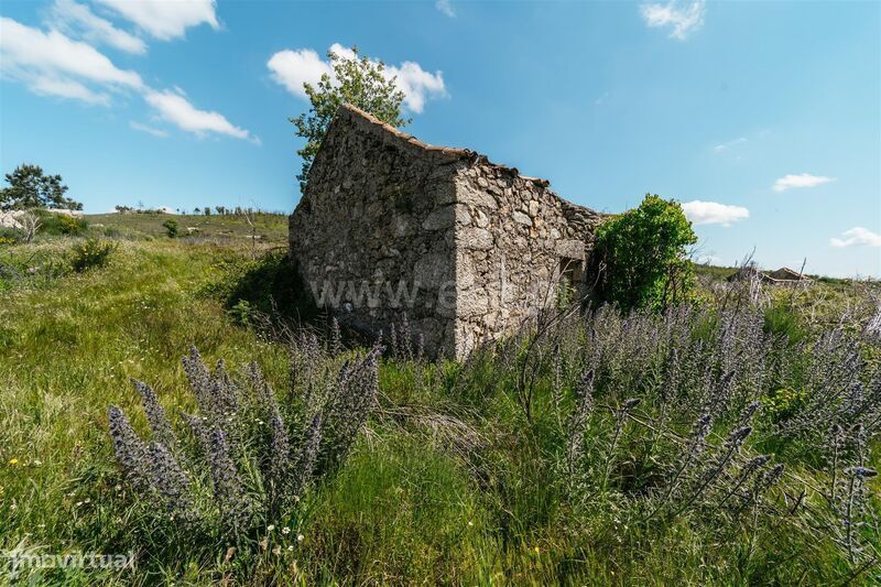 Quinta T3 / Covilhã, Orjais