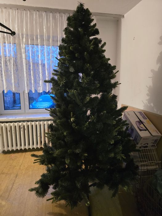 Choinka ok 2.40 wysokości